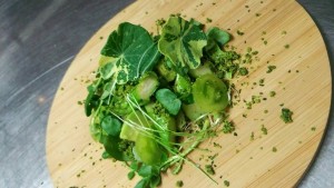 14585578_1107529809325084_304548794_o