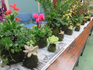 14590126_1112428815501850_1206005219128032338_o