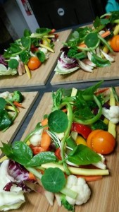 14593385_1107529812658417_626294278_n