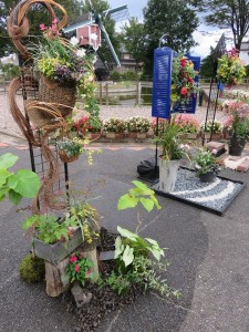 14593652_1108271539250911_1753456802_n