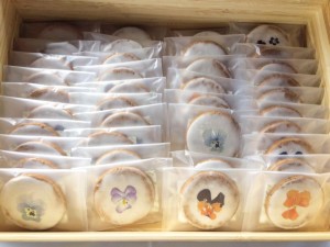 14595759_1161769437222115_7432693964872542026_n