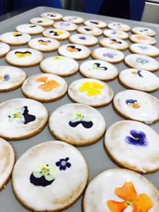 14650483_1040899989360612_6323301617354373690_n