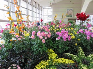 14670622_1122696941141704_4861948018235359335_n