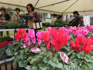 14680778_1122696977808367_2967054239333907343_n