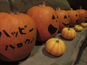 14681980_1119639681447430_1925081453385502012_o