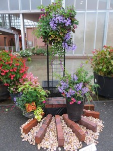 14686321_1114198765324855_903700176_n