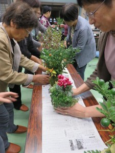 14690830_1112428822168516_1876602741550418291_n