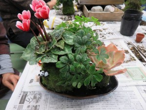 14700813_1112428638835201_5825727067049759093_o