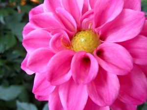 14702346_1122696844475047_8054963445087450632_n