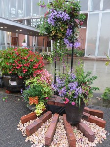 14741685_1114198751991523_1834368558_n