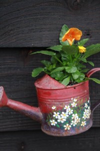 14741698_1121535384591193_768773155_n