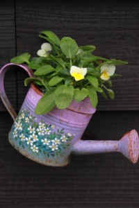 14797355_1121535377924527_460842912_n