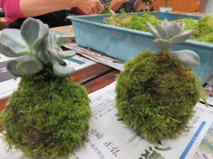 14812977_1127372864007445_365282148_o