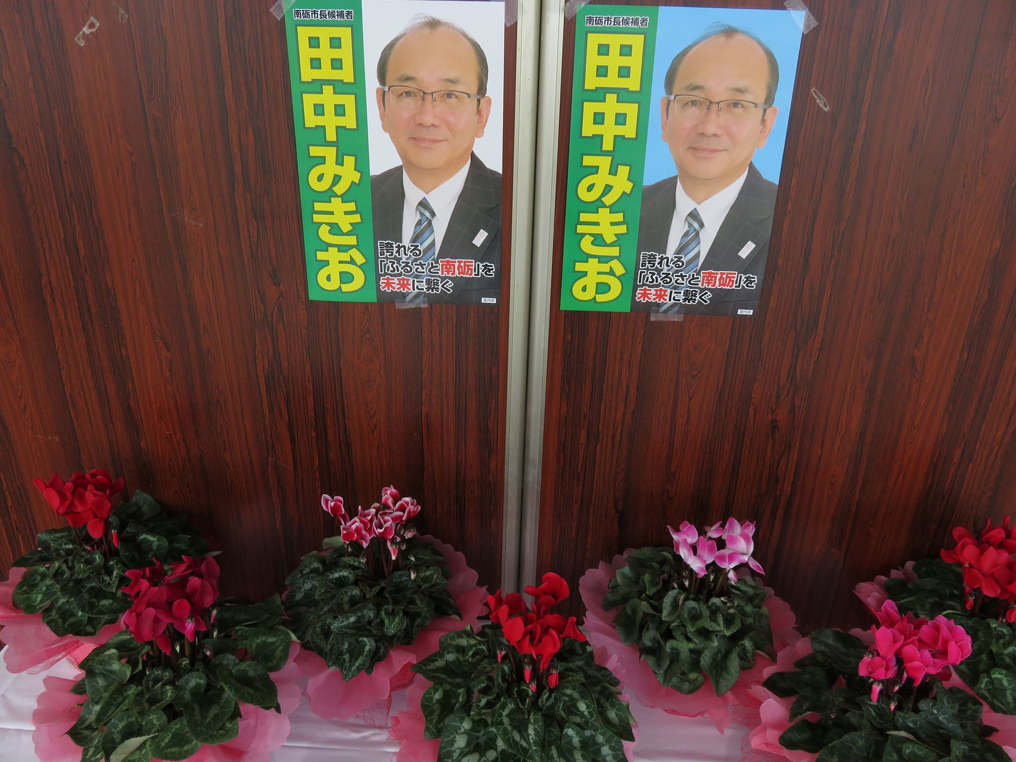 シクラメンの会場装花