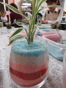 14813576_1127372854007446_1241320054_n