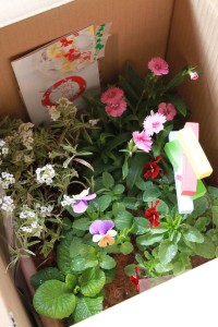 14825817_1126528437425221_1390395553_n