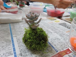 14859537_1127372794007452_1334270274_o