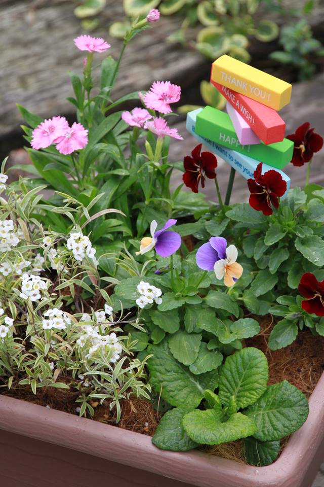 美食花の寄せ植え発送！