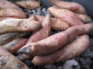 14875804_1129643680447030_45854072_o