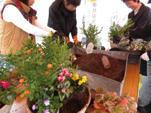 14875823_1129643033780428_289370786_o