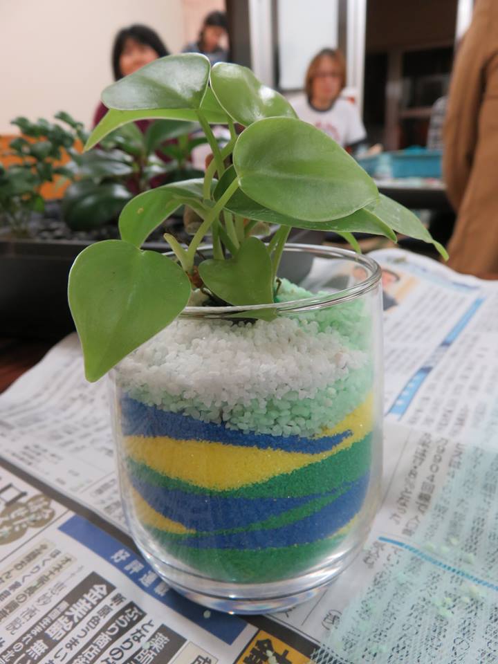 カラーサンドの寄せ植え教室