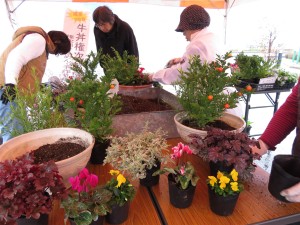 14881264_1129643027113762_1628307287_o