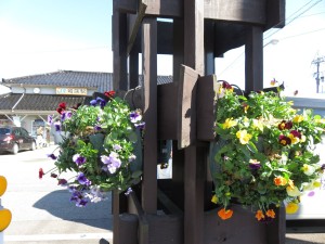 14855944_1135943629817035_4941707806736044771_o