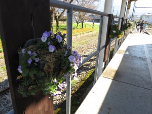 14890410_1135943959817002_4858183842646008133_o