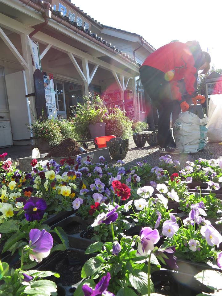 秋冬コレクション☆城端駅前花飾り
