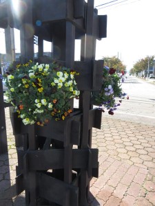 14910549_1135944036483661_1695274391028726085_n