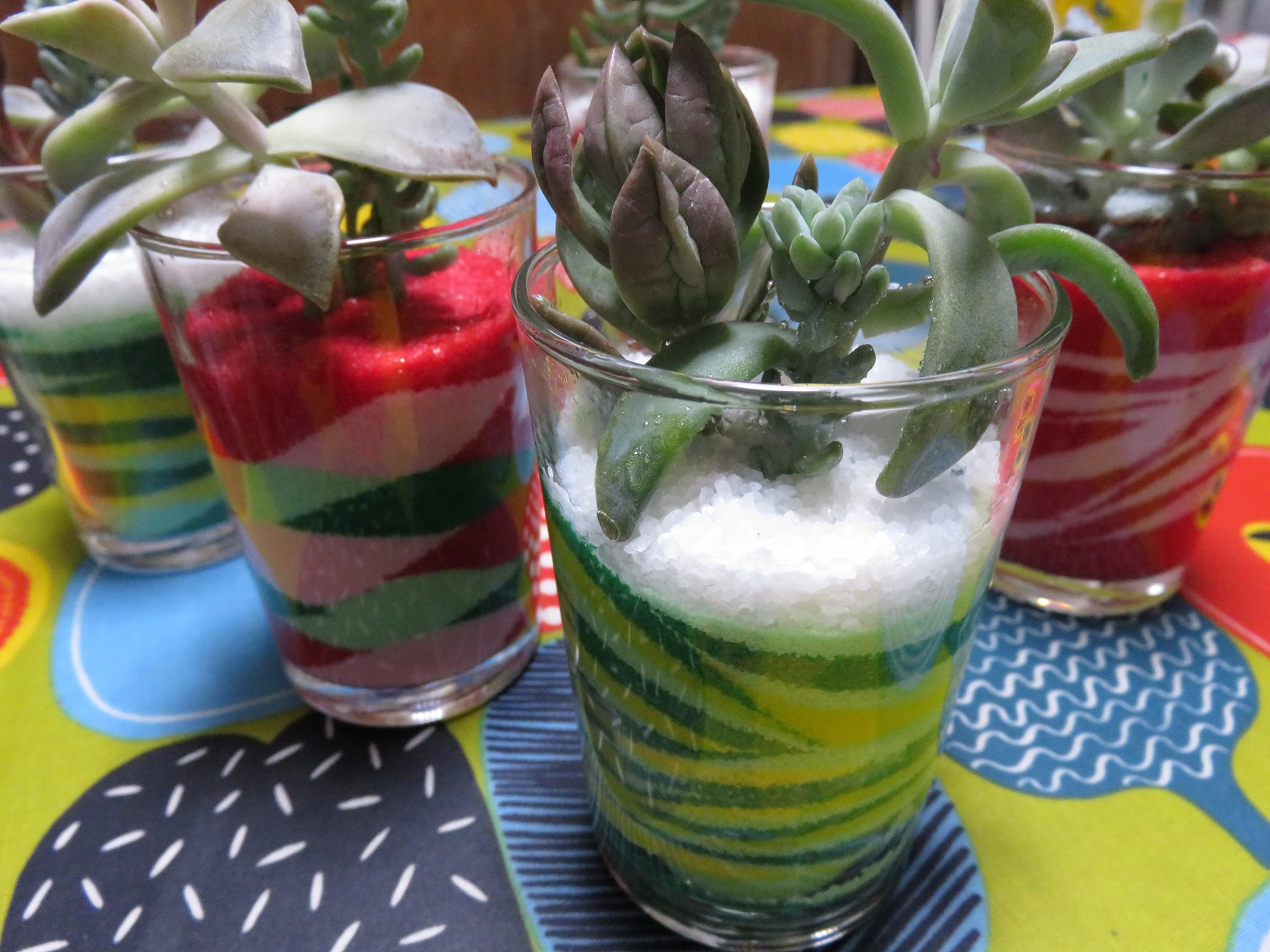 カラーサンドを使って多肉植物