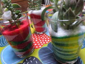 14958159_1135251649886233_514864028_o