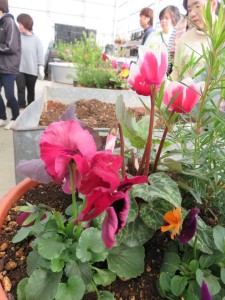 14993387_1143140552430676_7951396082504918061_n