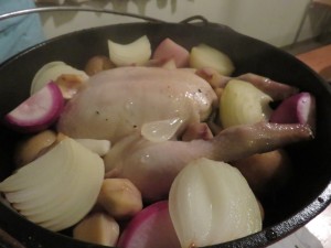 15007829_1140839395994125_1377426749_o