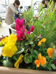 15027949_1143140545764010_2759583499528673930_n