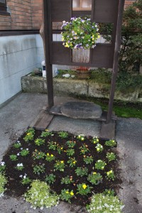 15032419_1144713695606695_795495544_n