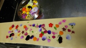 15032783_999519283528073_4088137695427941977_n