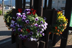 15033897_1144714498939948_1839783280_o