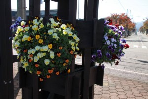 15034046_1144713842273347_1570495366_o