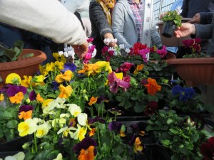 15039654_1143140419097356_1330777567631078139_o