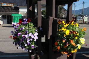 15045532_1144714538939944_2064740721_o