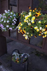 15049970_1144713675606697_146978158_n