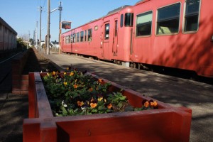 15064003_1144713762273355_1768032458_o