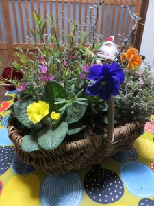 15179221_1157543054323759_8208627608561743134_n