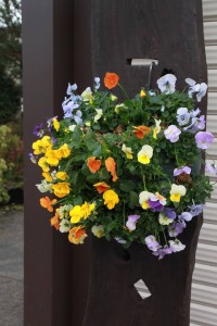 15218291_1160139820730749_1008371743_n