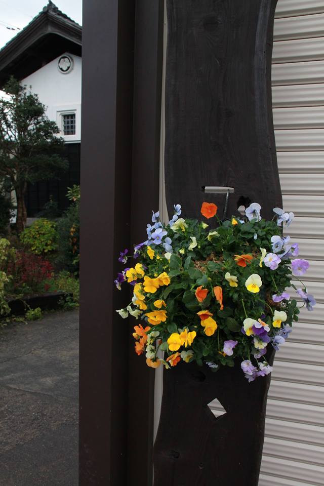 クラブJOY冬のハンギングバスケット作り♪