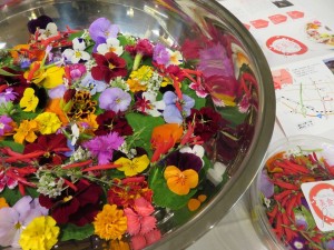 15192654_1164281473649917_6064549563308420756_n