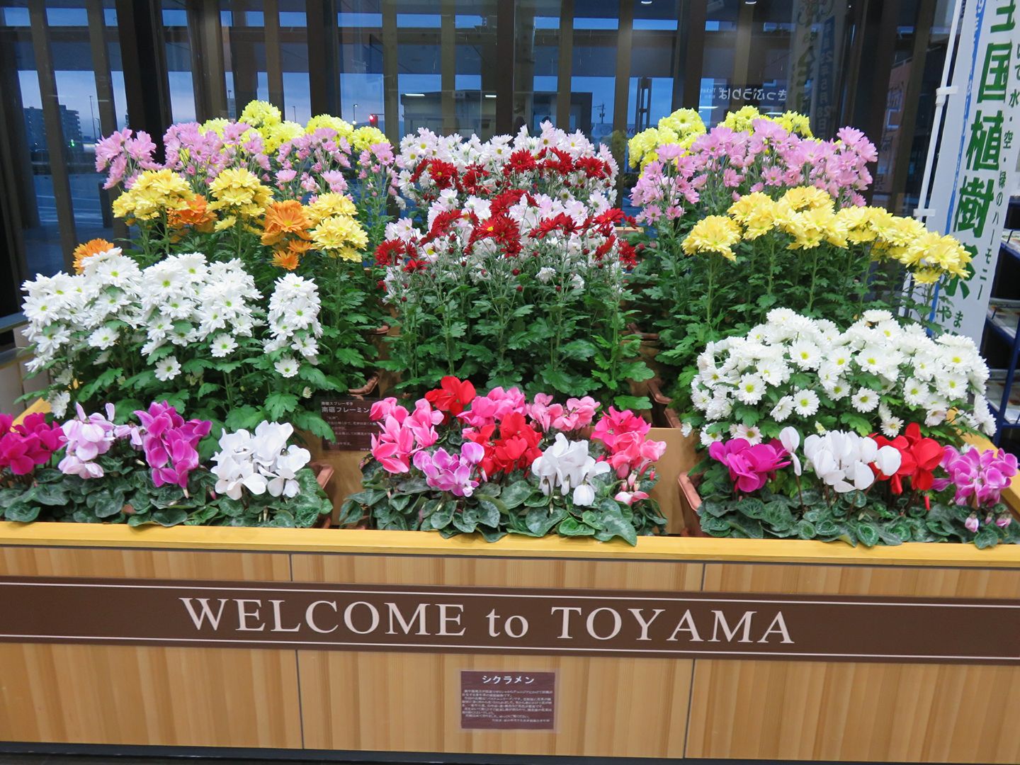新高岡駅構内の花飾り☆