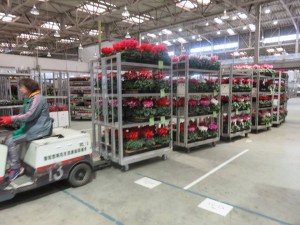 15268040_1167872986624099_1504445972150858154_n