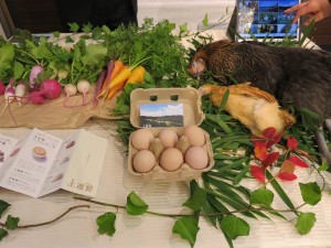 15268046_1164281496983248_3178387356416228009_n